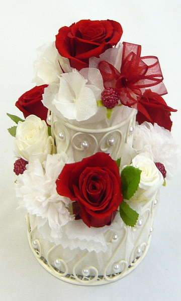 ��t���ԁ@�v���U�[�u�h�t�����[/���b�h�Q�i�P�[�L